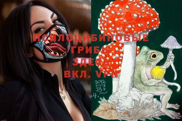 ECSTASY Дмитров