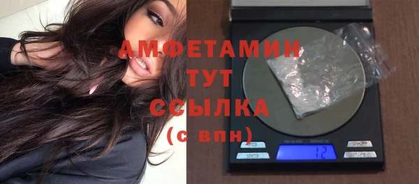 прущий лед Дмитриев