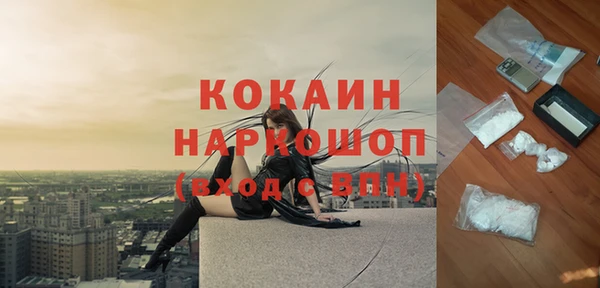 прущий лед Дмитриев