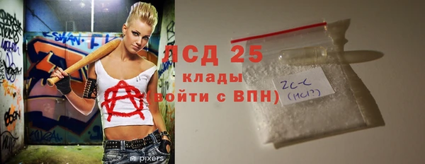 прущий лед Дмитриев