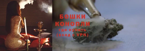 прущий лед Дмитриев