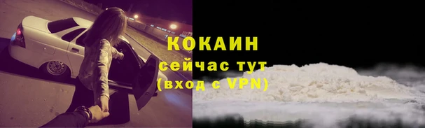 прущий лед Дмитриев