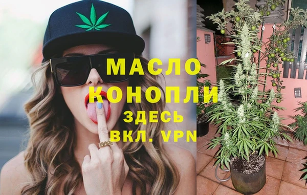 прущий лед Дмитриев