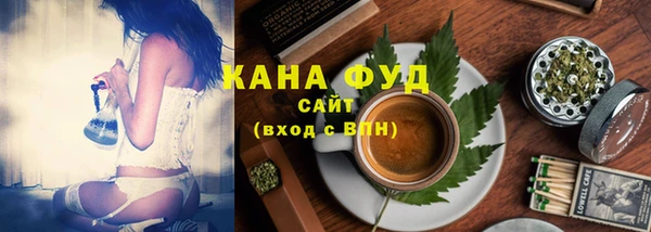 прущий лед Дмитриев