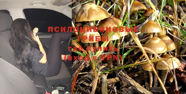 ECSTASY Дмитров