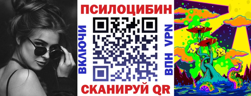 Купить где  Сясьстрой  Псилоцибиновые грибы Psilocybe 